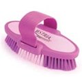 Desert Equestrian 675 Inch Small Equestrian Sport Oval Body Brush Purple 21712 020112